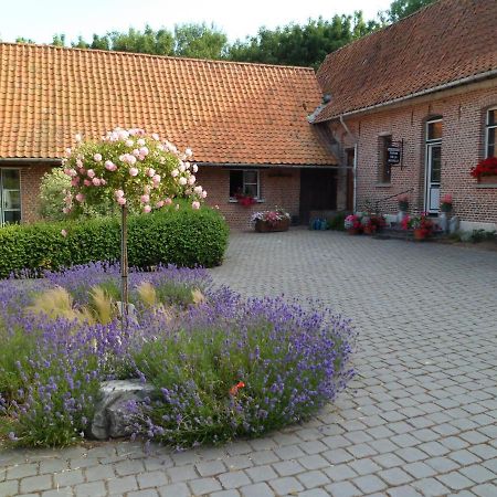 Gîte de la Noyelle Sainghin-en-Mélantois Exterior foto