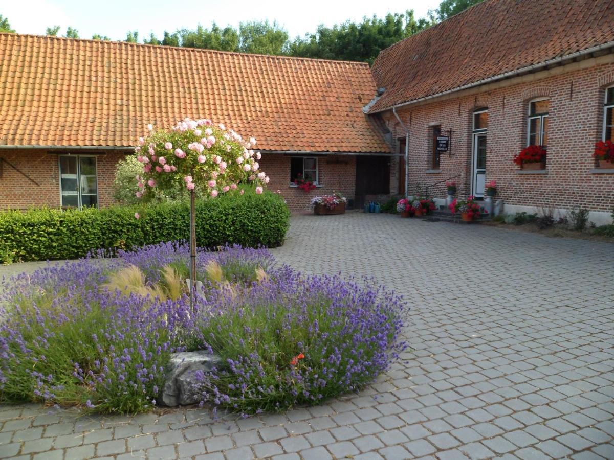Gîte de la Noyelle Sainghin-en-Mélantois Exterior foto